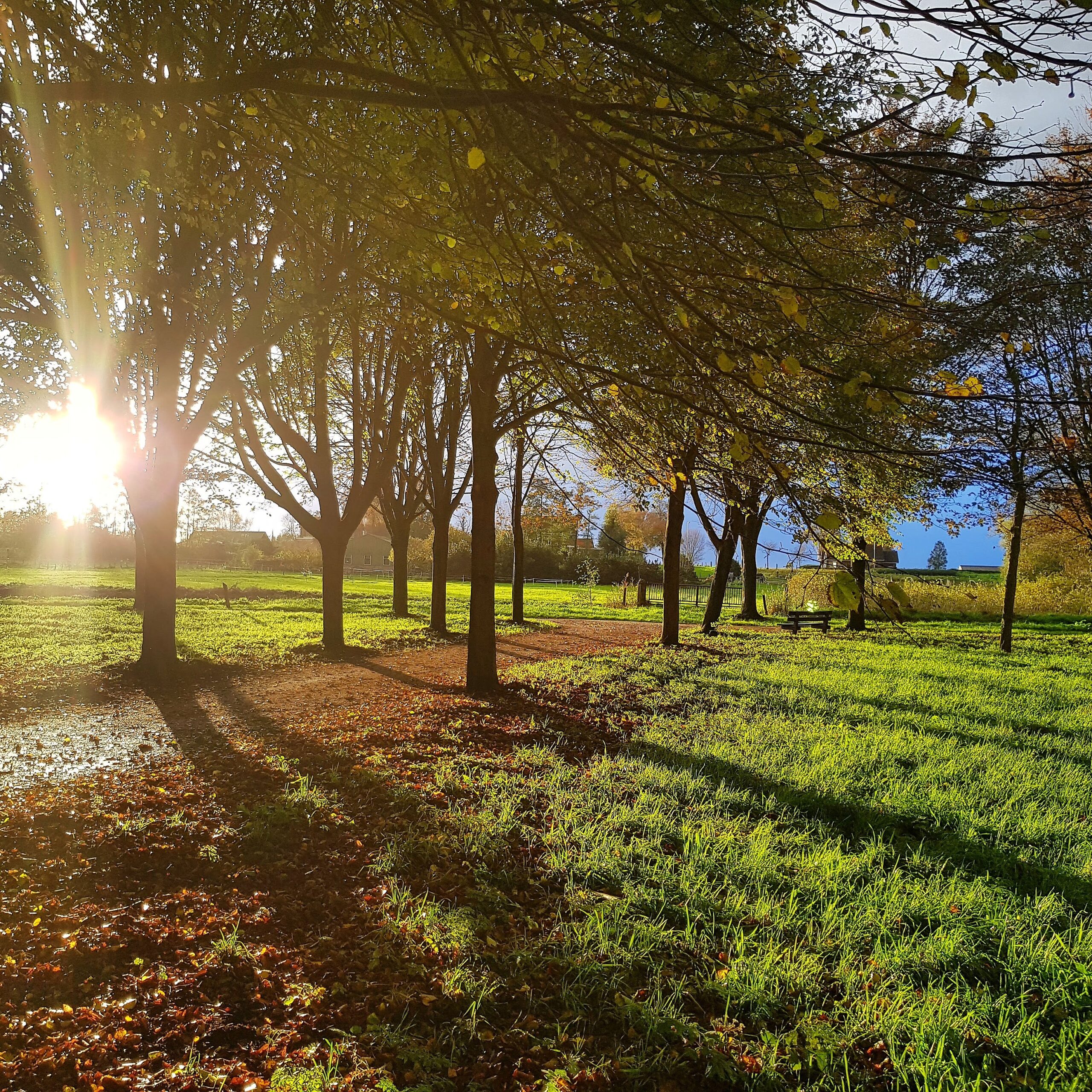 IMG_20171105_171037_462