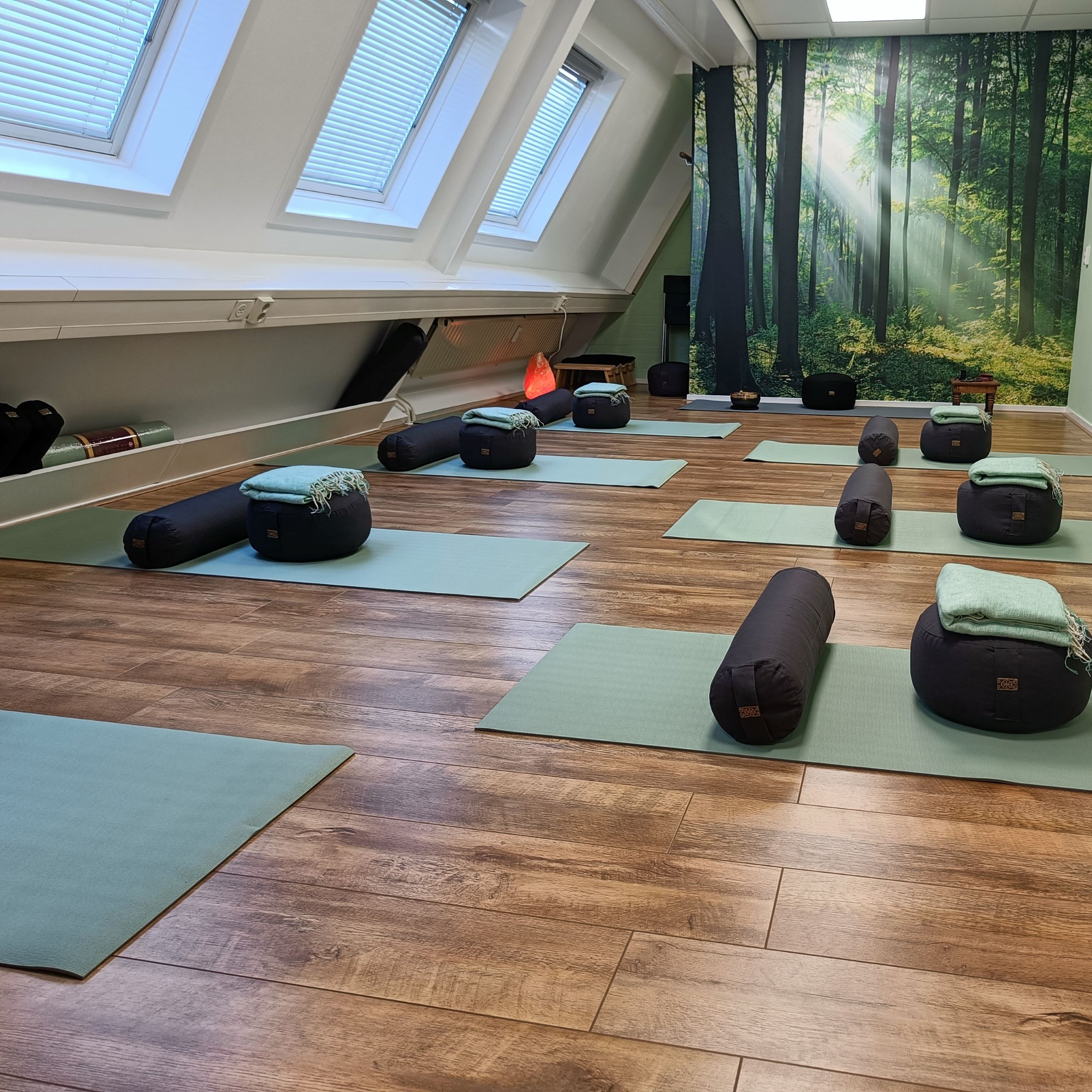 Mindfulness-in-Boskoop