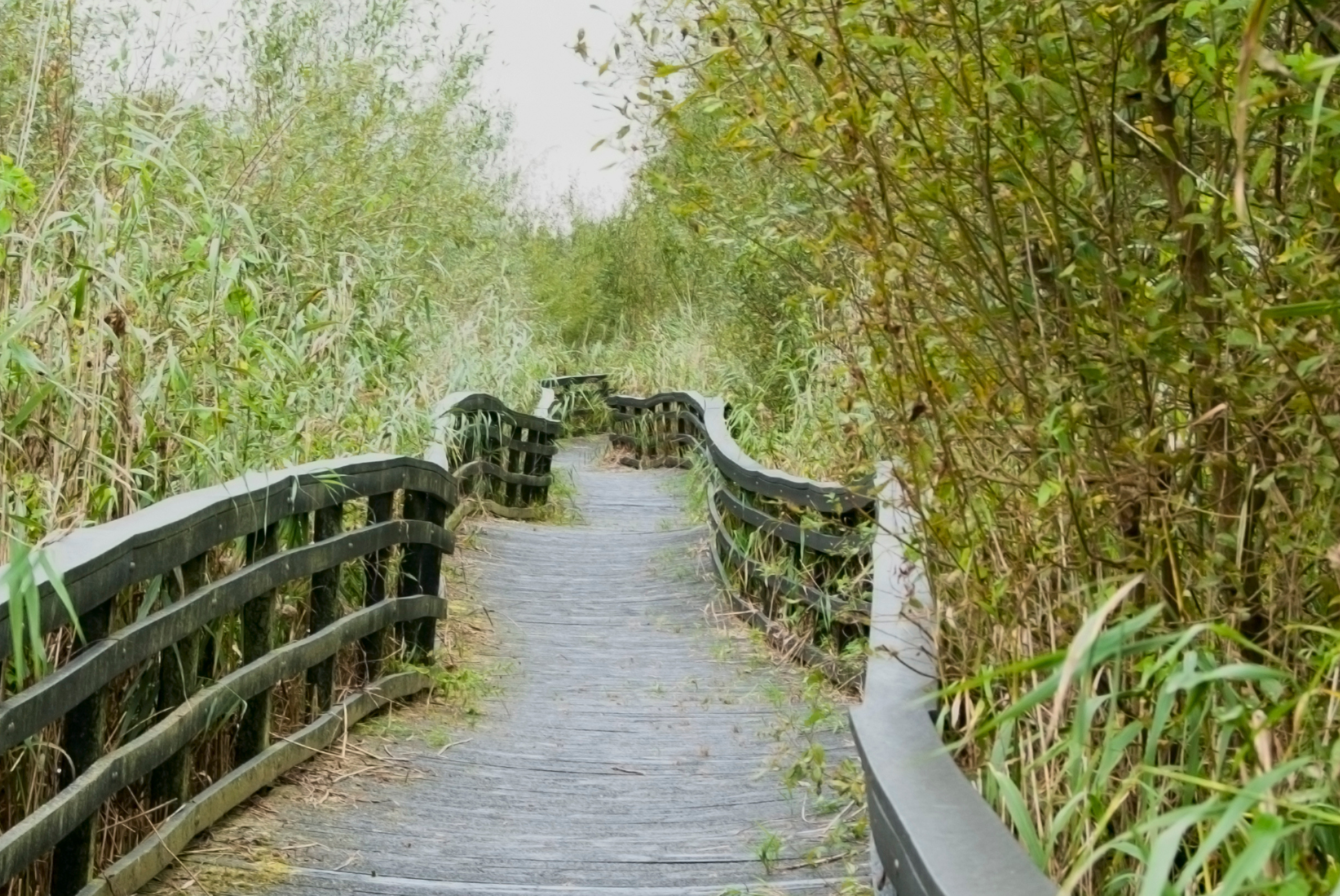 wandel-coaching-traject